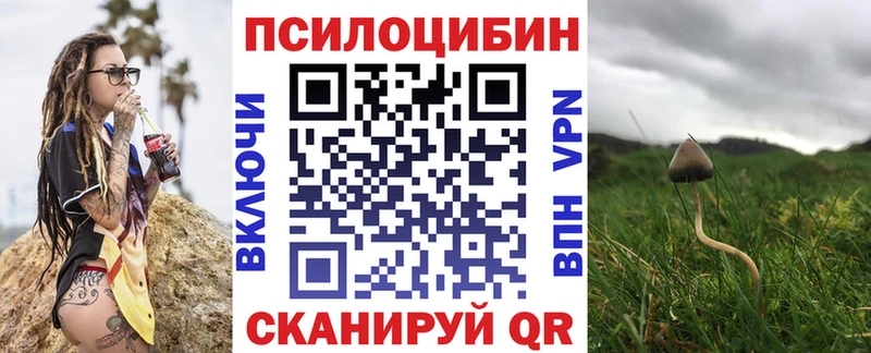 наркошоп Покачи Псилоцибиновые грибы ЛСД