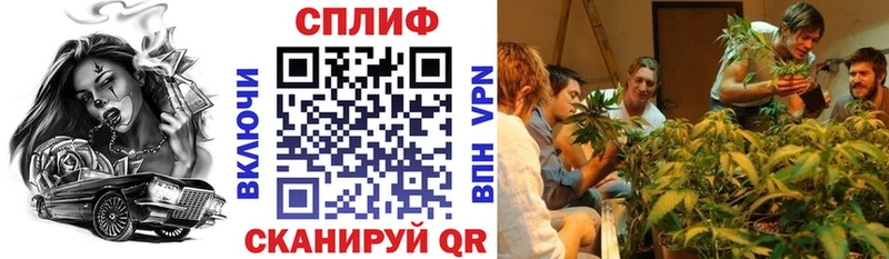 наркота  Покачи  Марихуана план 